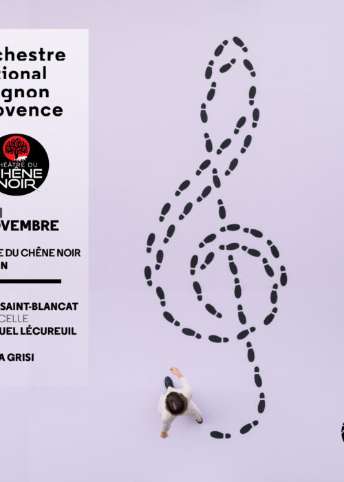 orchestre-s-eclate-en-ville-chene-noir-avignon